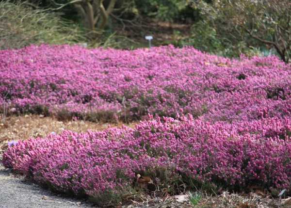Fruehling 2009   059.jpg